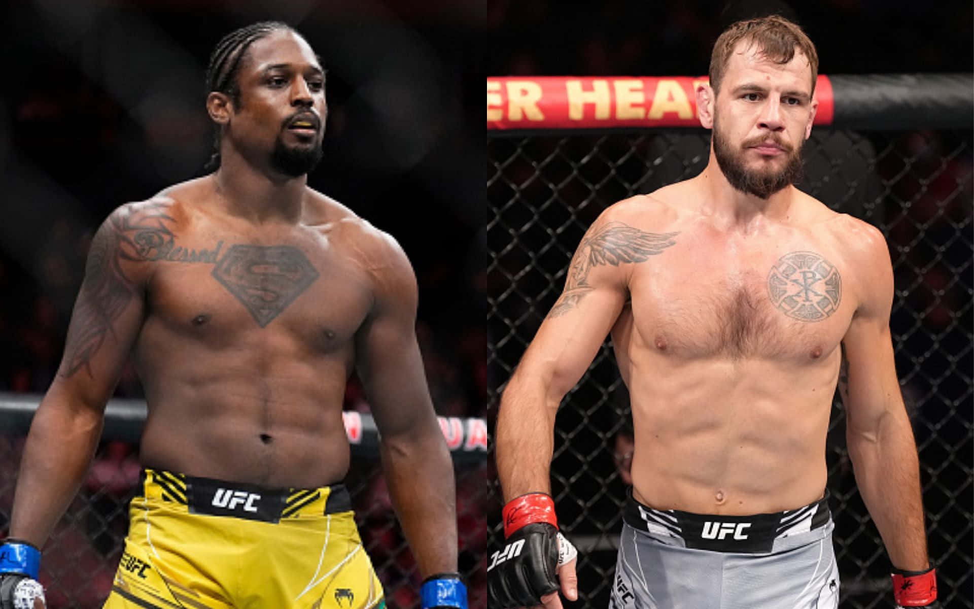 Ryan Spann And Nikita Krylov Background