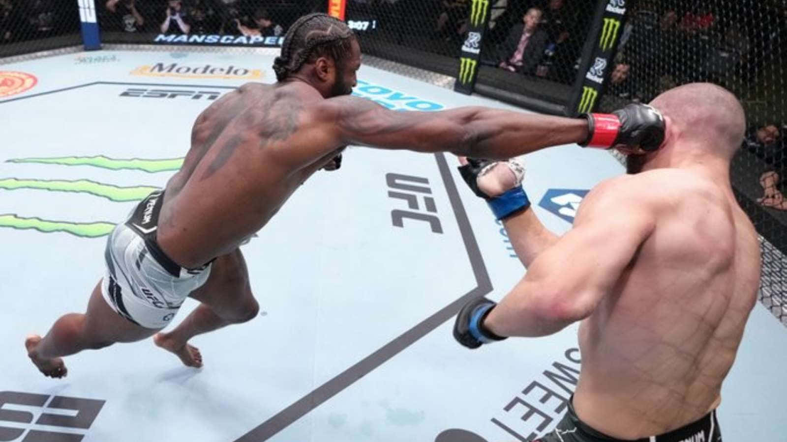 Ryan Spann Solid Punch Background