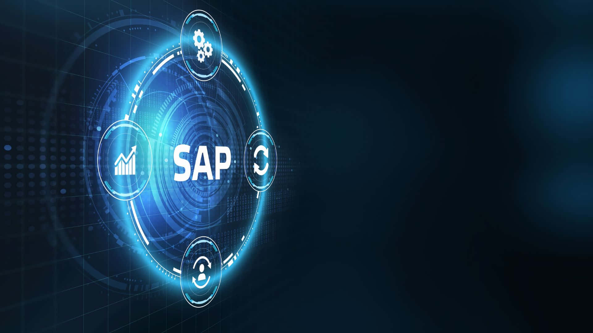 S A P Software Digital Interface Background