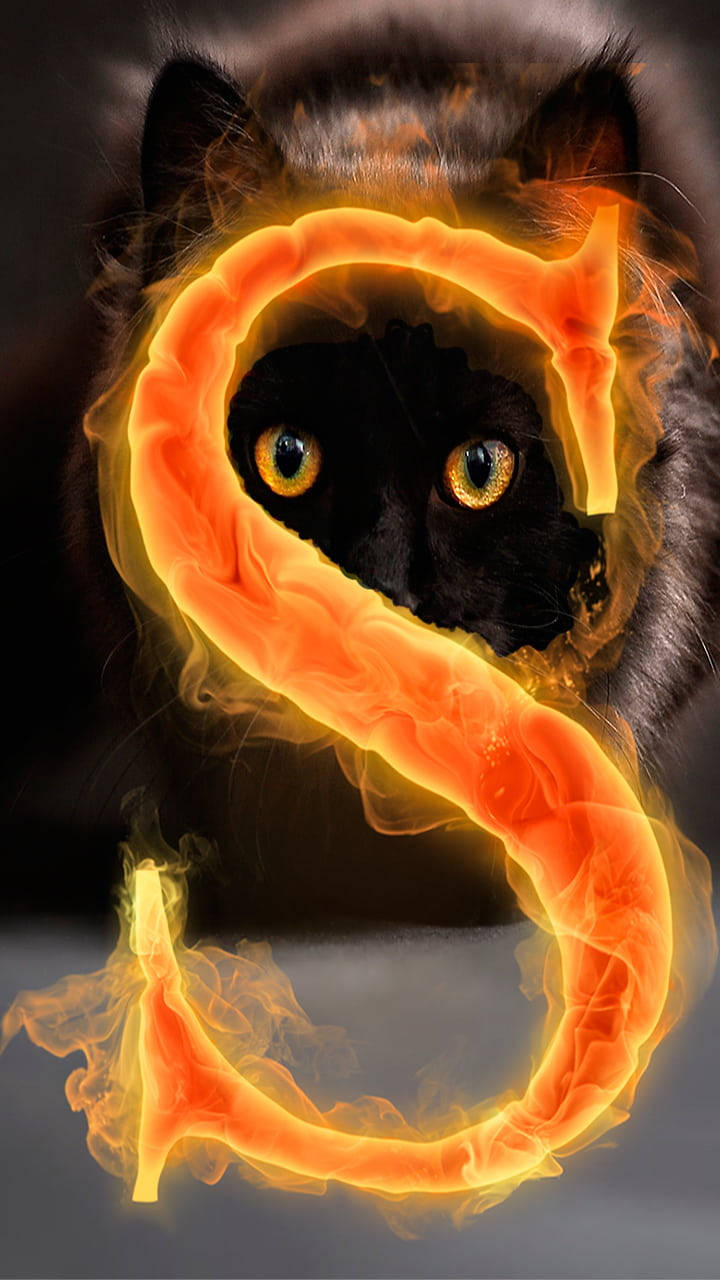 S Letter Black Cat Background