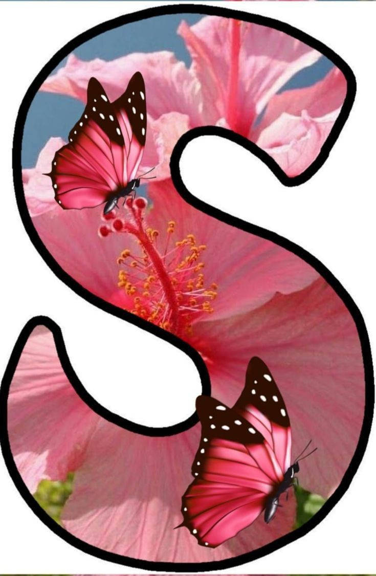 S Letter Pink Butterflies Background