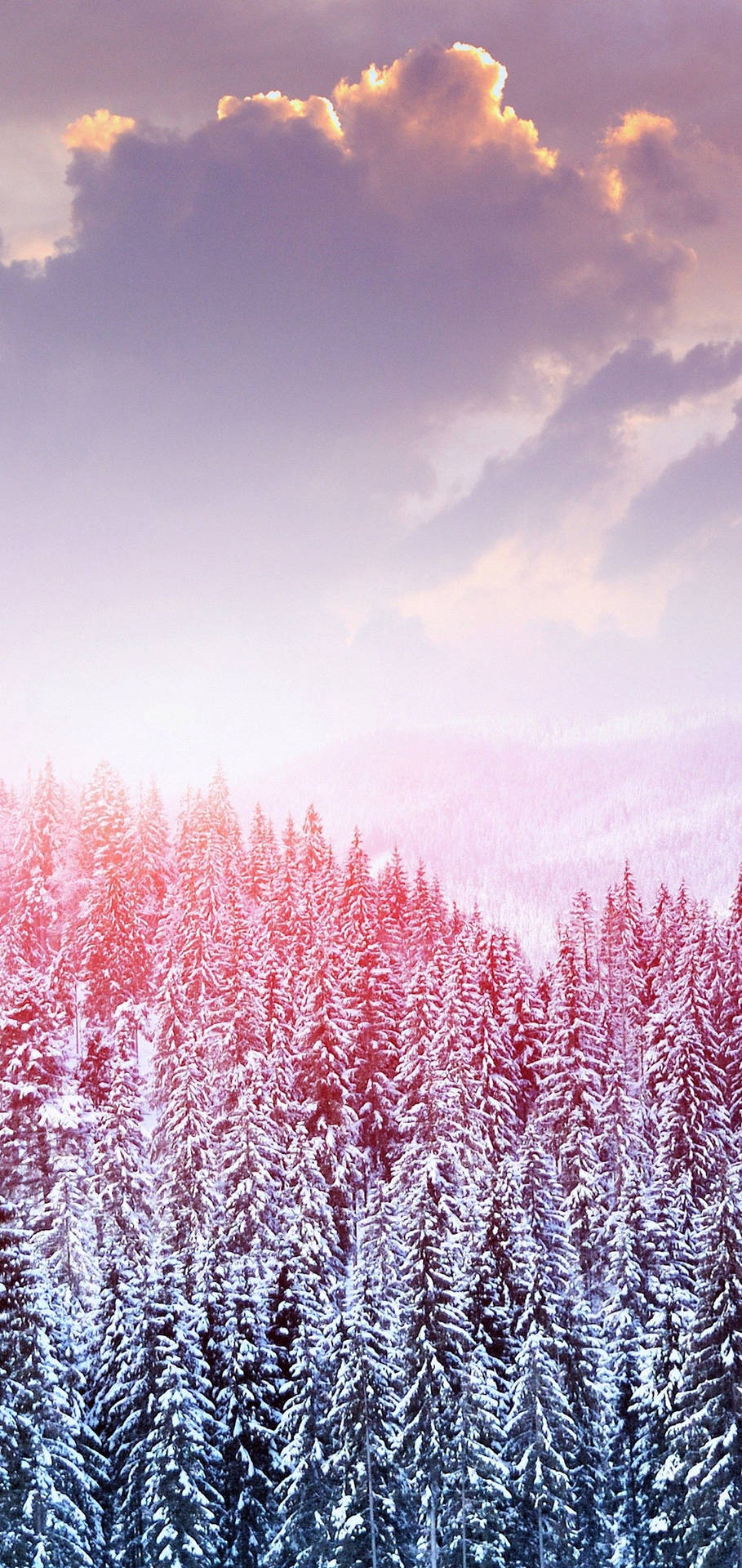 S10 Winter Snow Trees