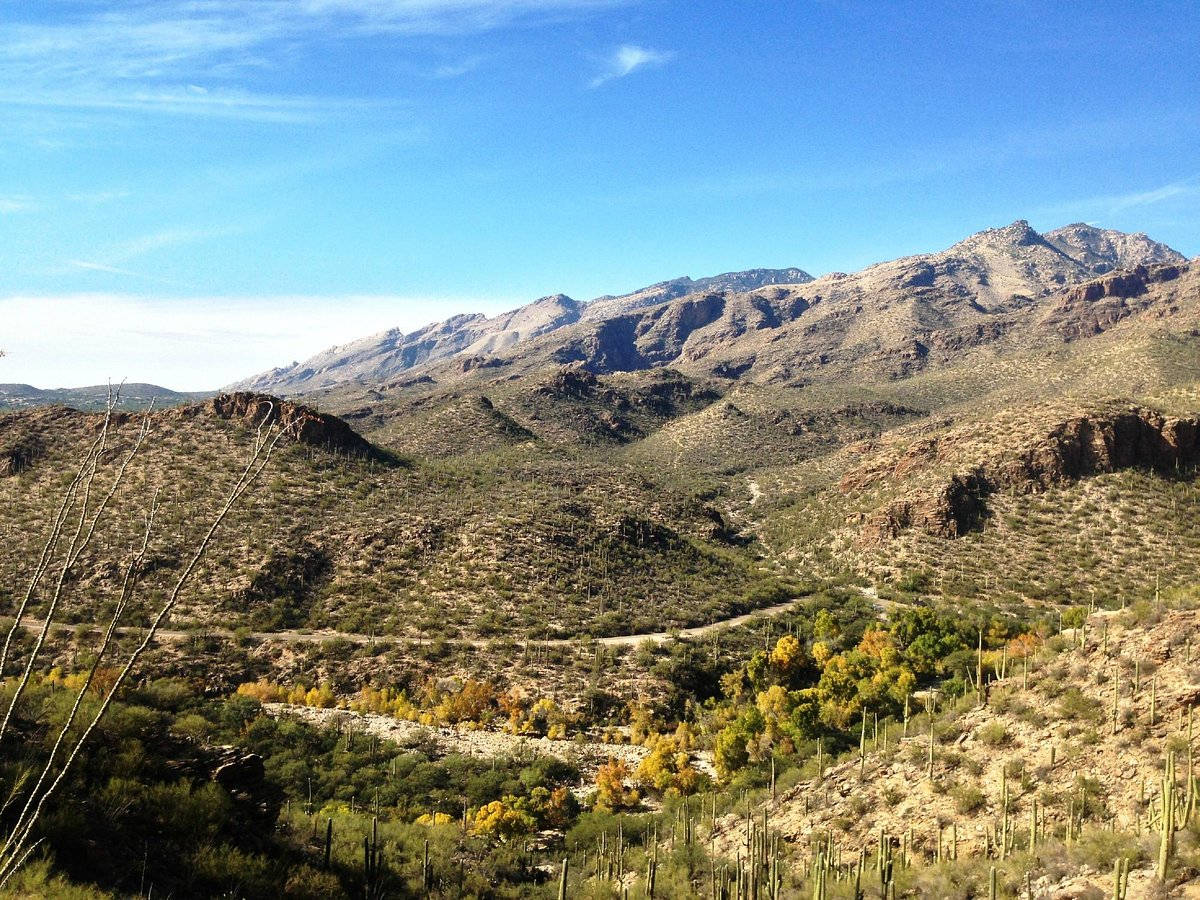 Sabino Canyon Tucson Background