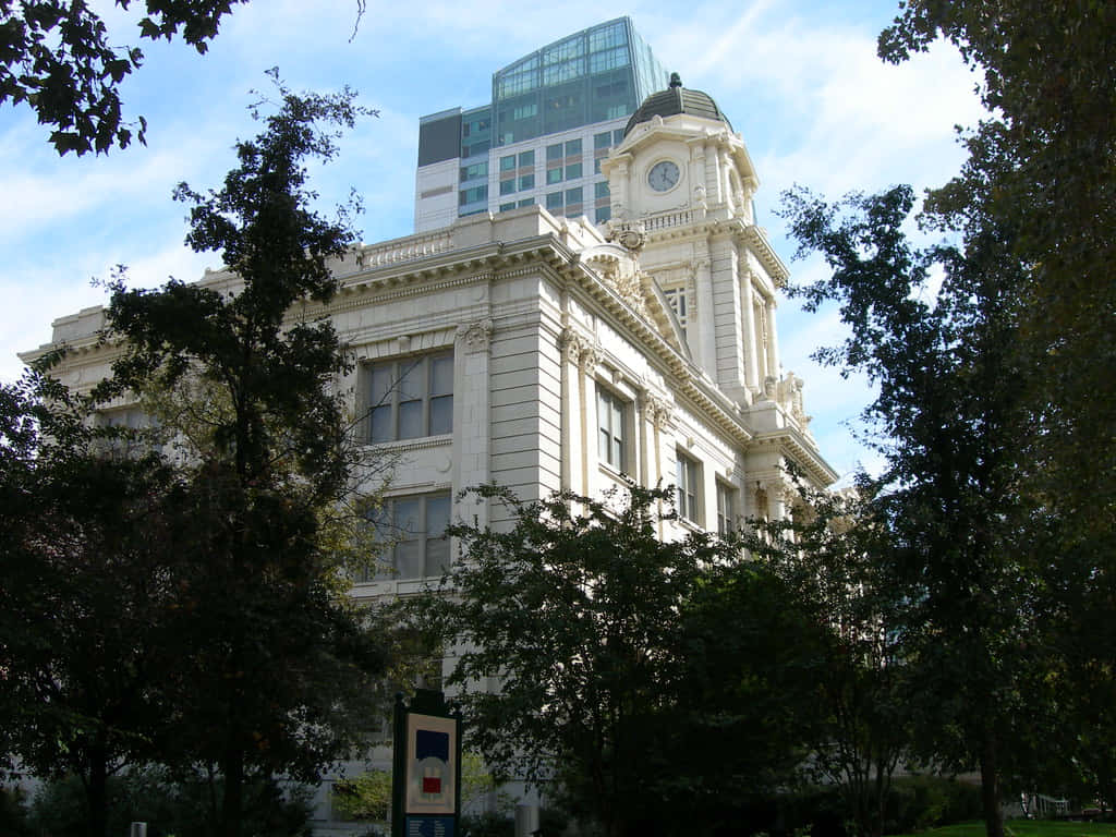 Sacramento City Hall Many Trees Background
