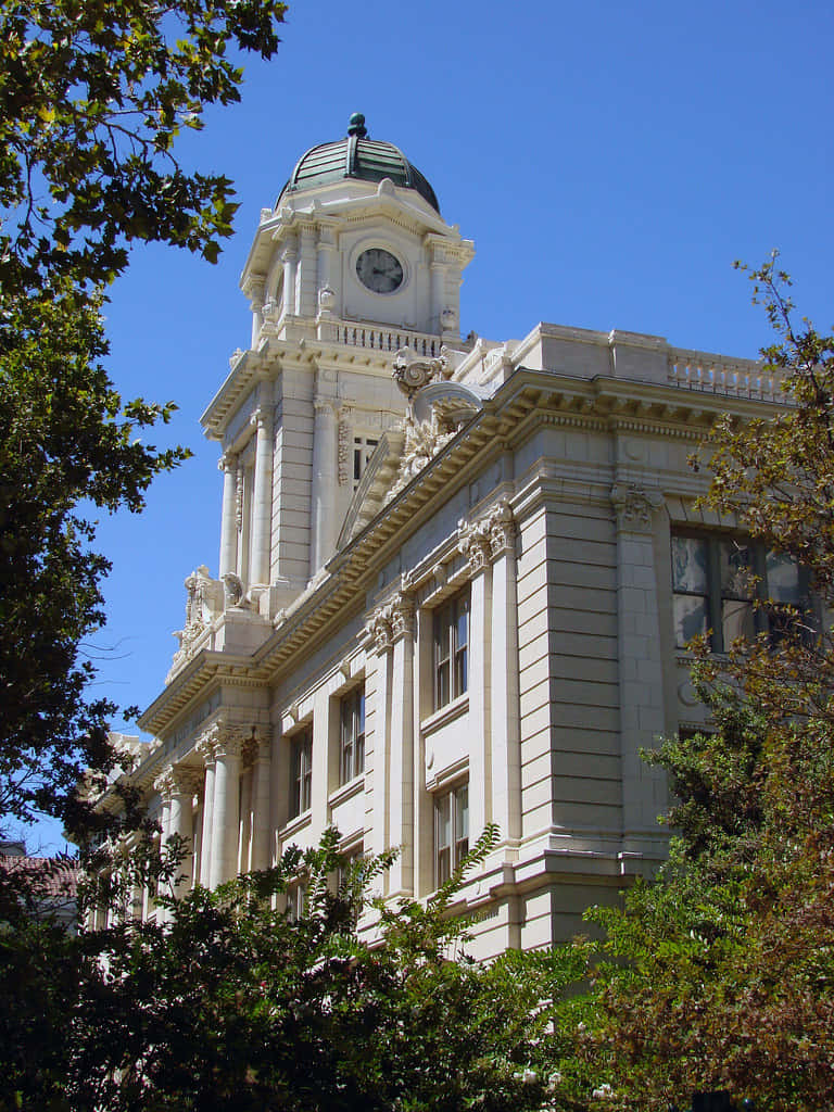 Sacramento City Hall Mobile Tower Background