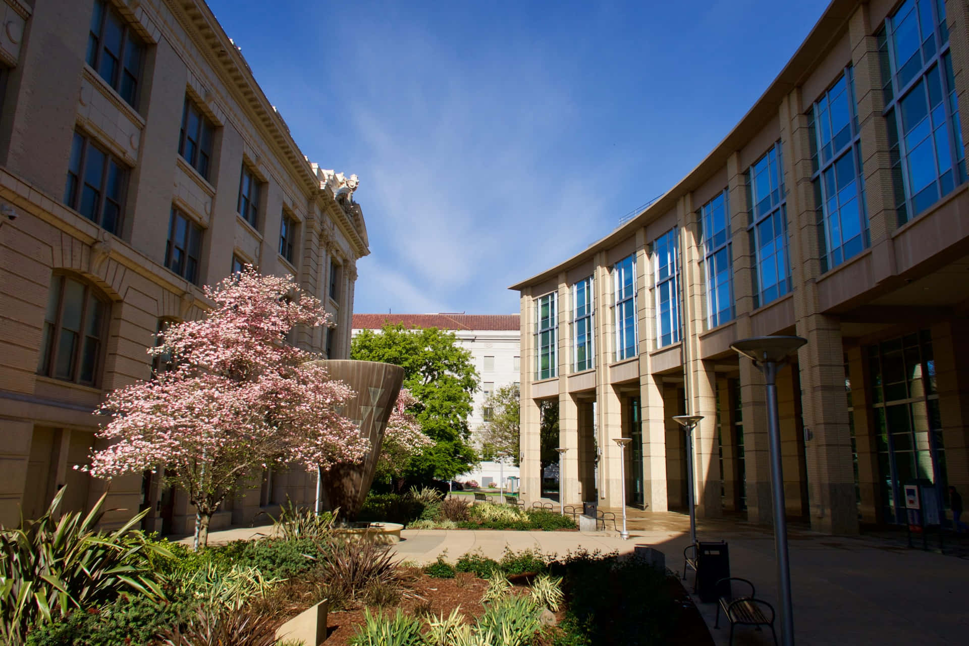 Sacramento City Hall Modern Building Background
