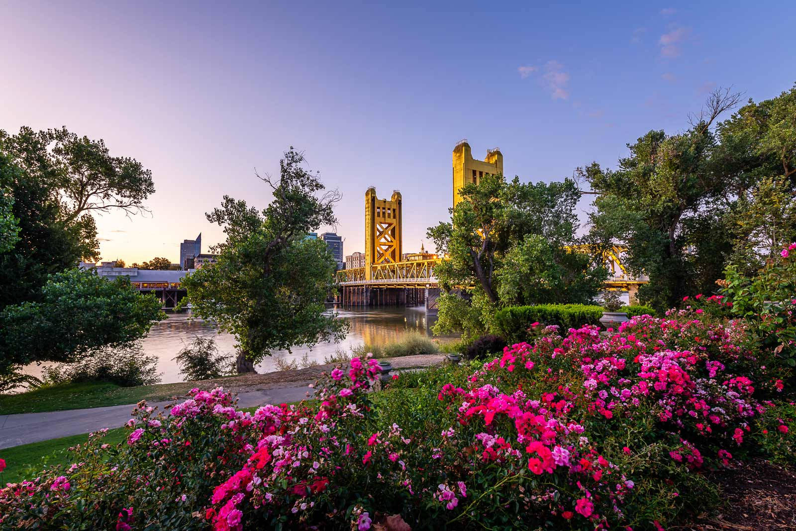 Sacramento Riverside Gardens Background