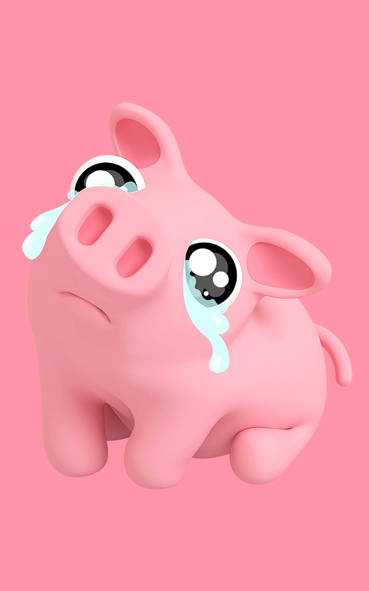 Sad Cute Pig