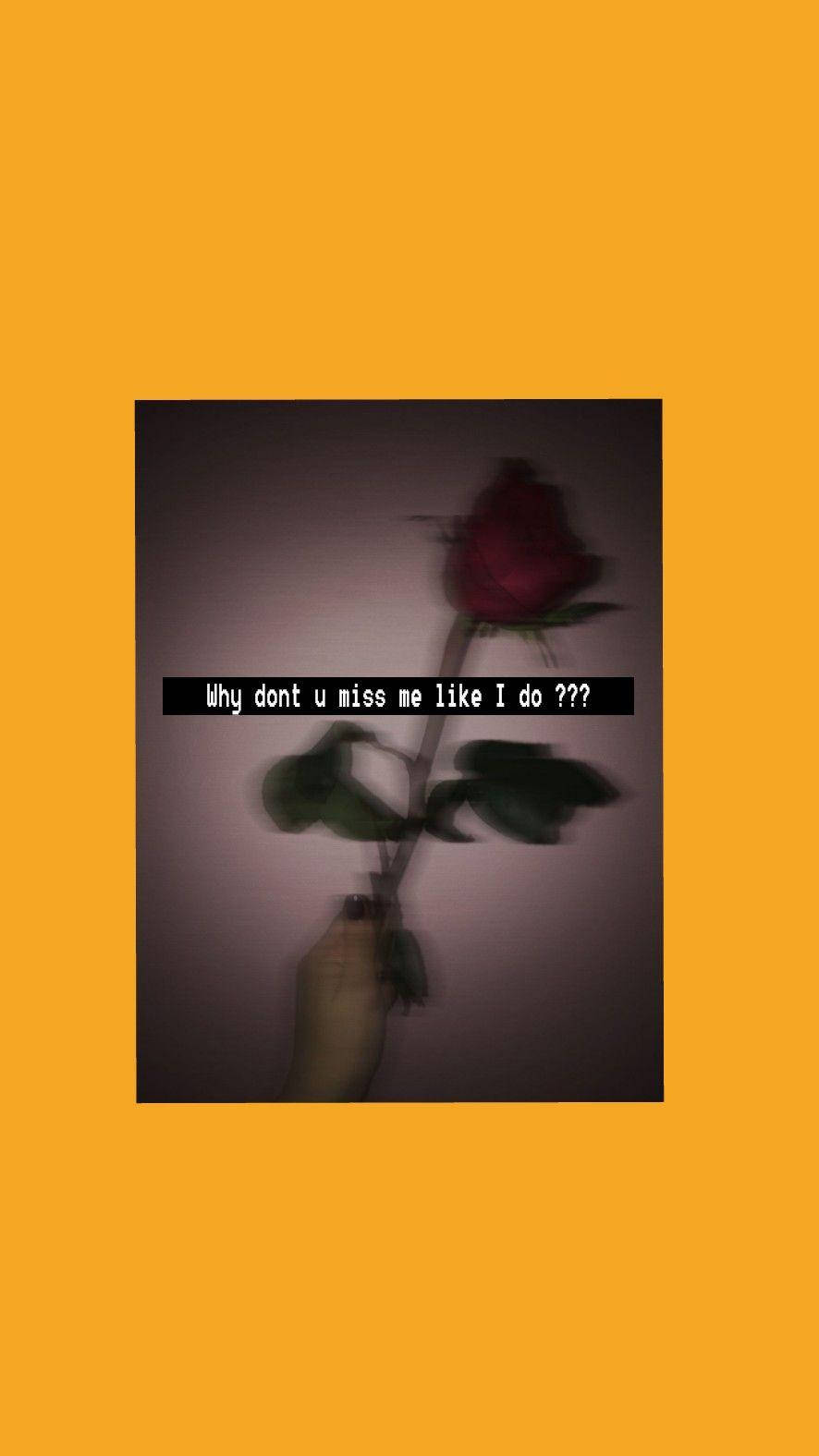 Sad Girl Aesthetic Rose With Text Background