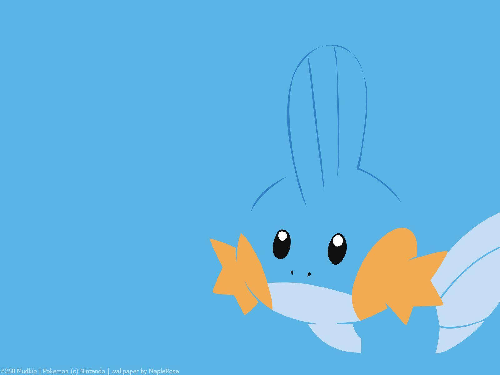 Sad Mudkip Art