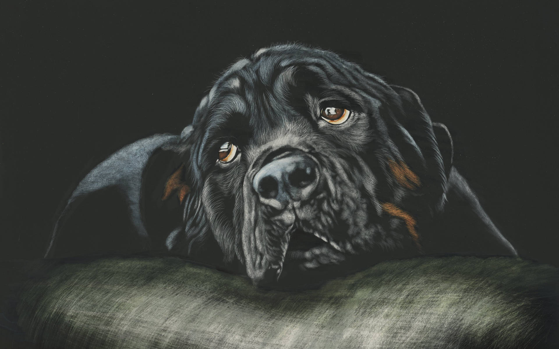 Sad Rottweiler Digital Art Background