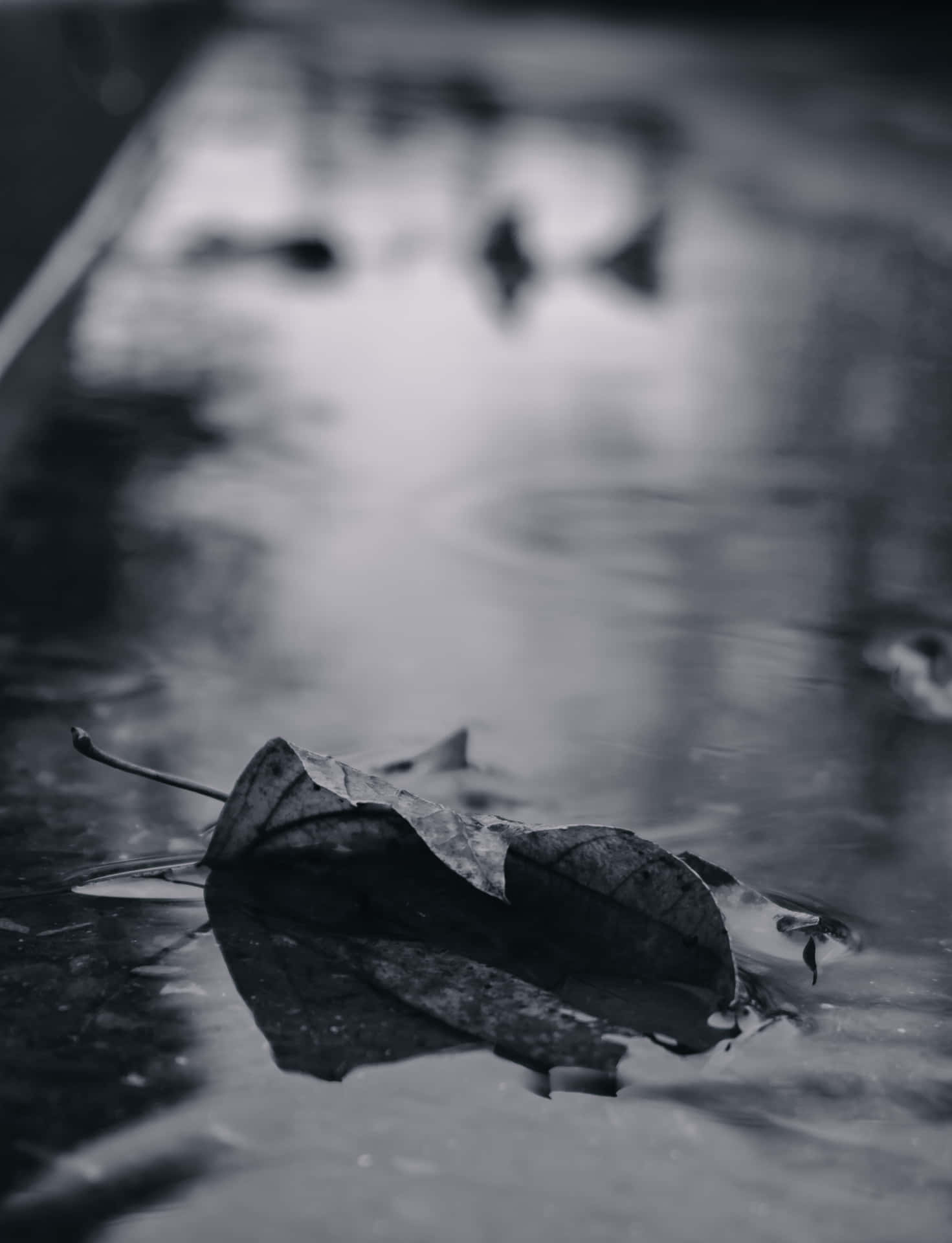 Sad Vibes Leaf Rain Road Background