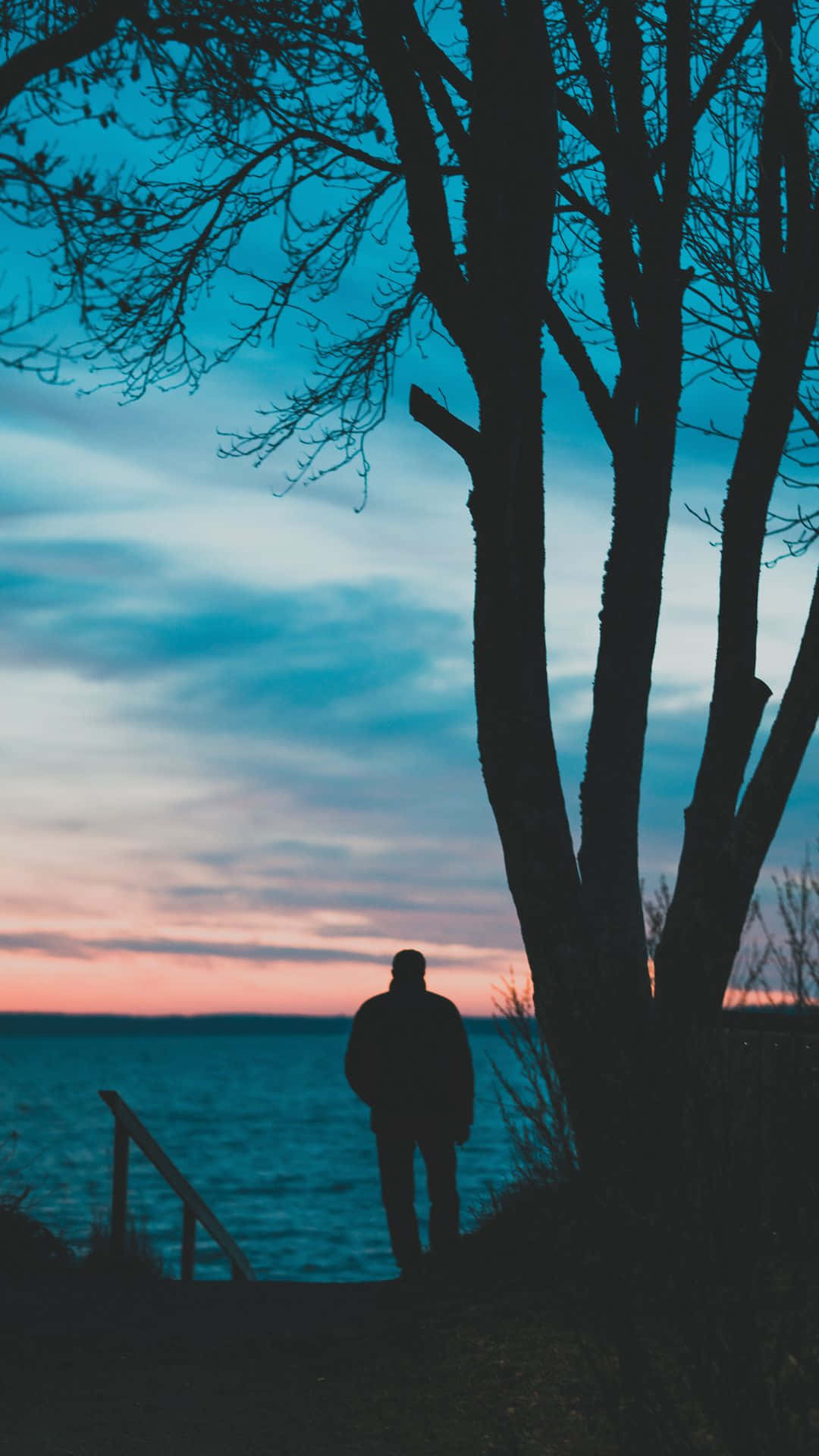 Sad Vibes Man Tree Sea Sunset Background