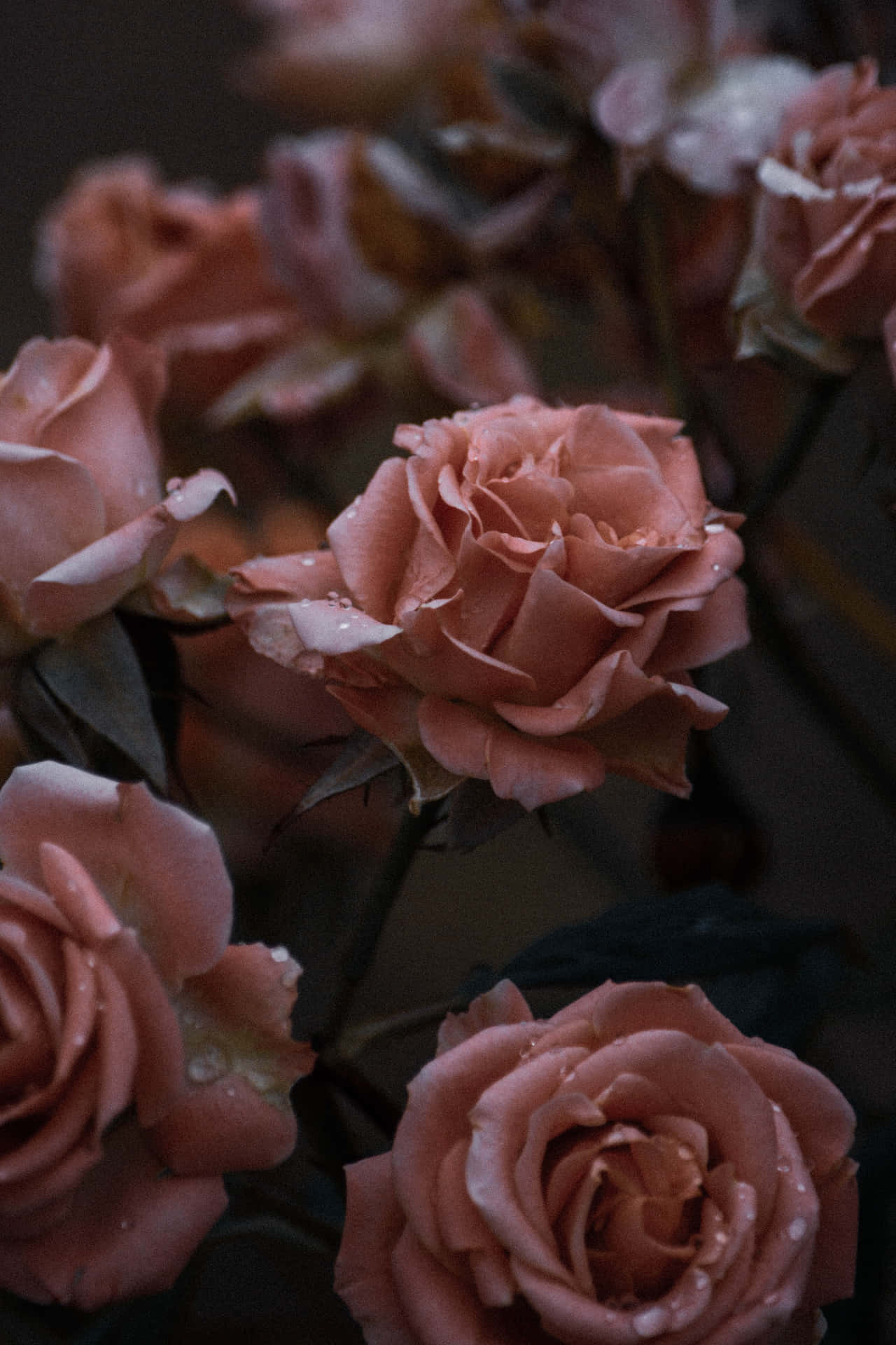 Sad Vibes Pink Roses Background