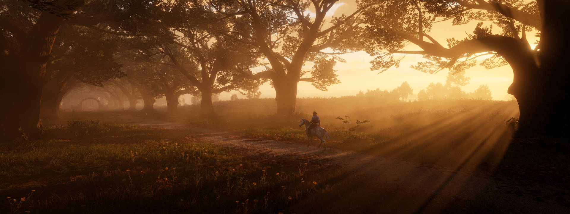 Saddle Up And Explore The Wild West In Red Dead Redemption 2 Background