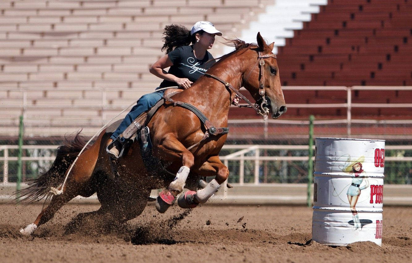 Saddle Up And Ride! Background