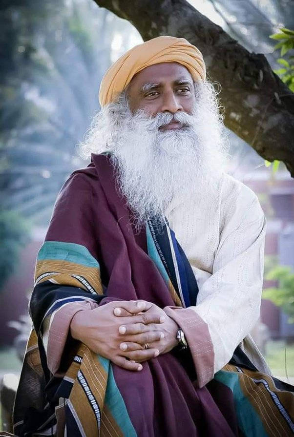 Sadhguru Sitting By A Tree Background