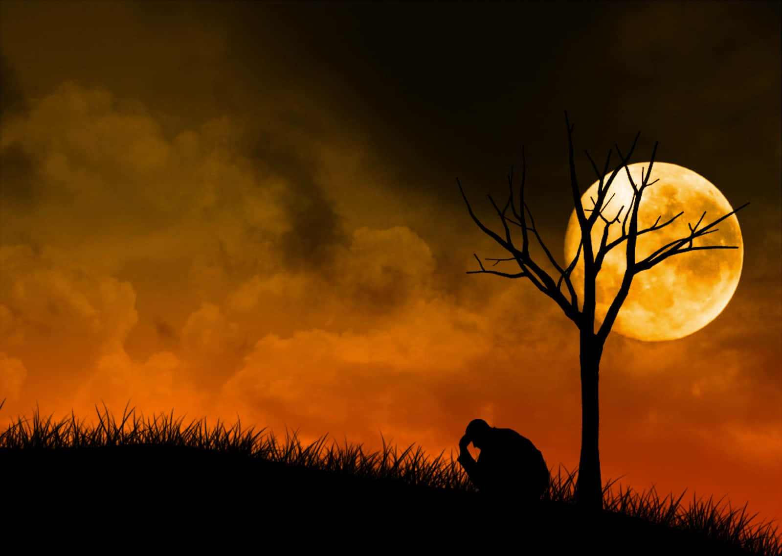 Sadness Under The Tree Background