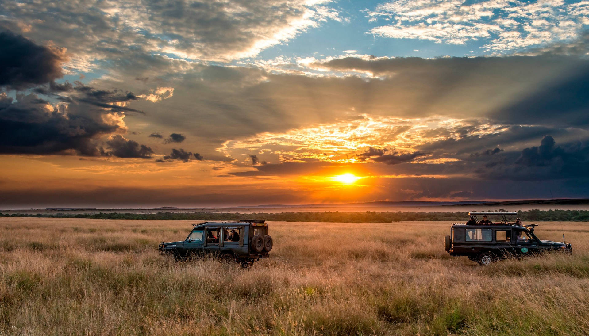 Safari Horizon Travel Aesthetic