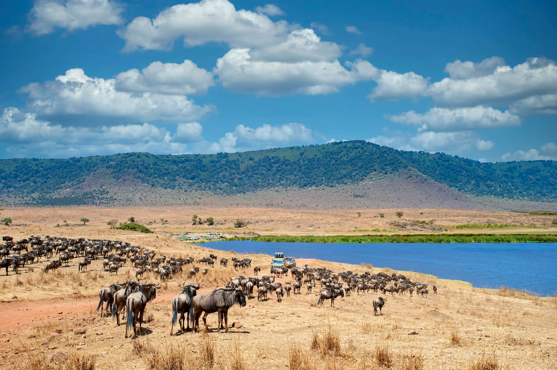 Safari Vehicle At The Lake Magadi Ngorongoro Crater