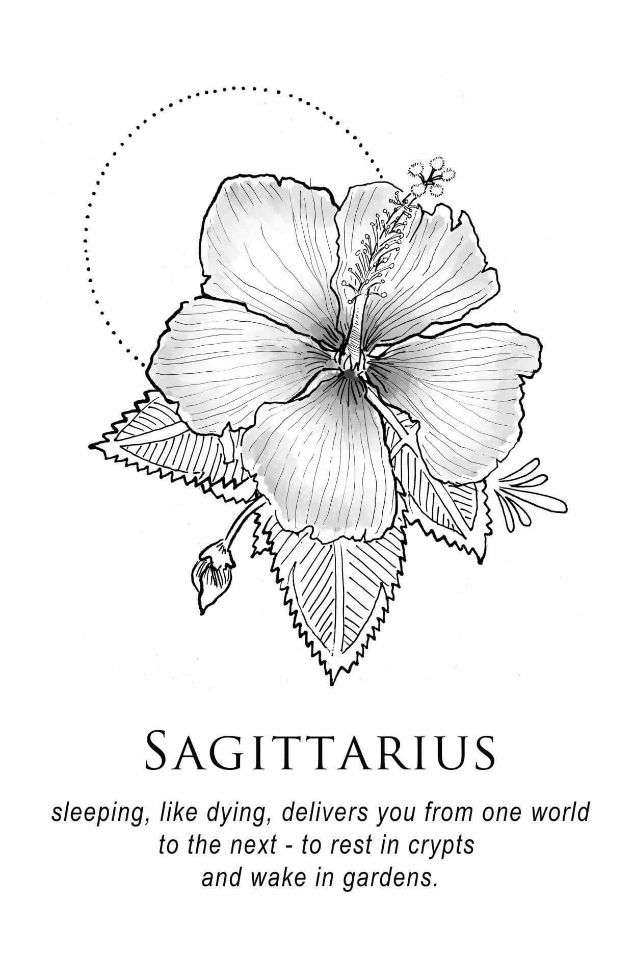 Sagittarius Zodiac Hibiscus Flower Background