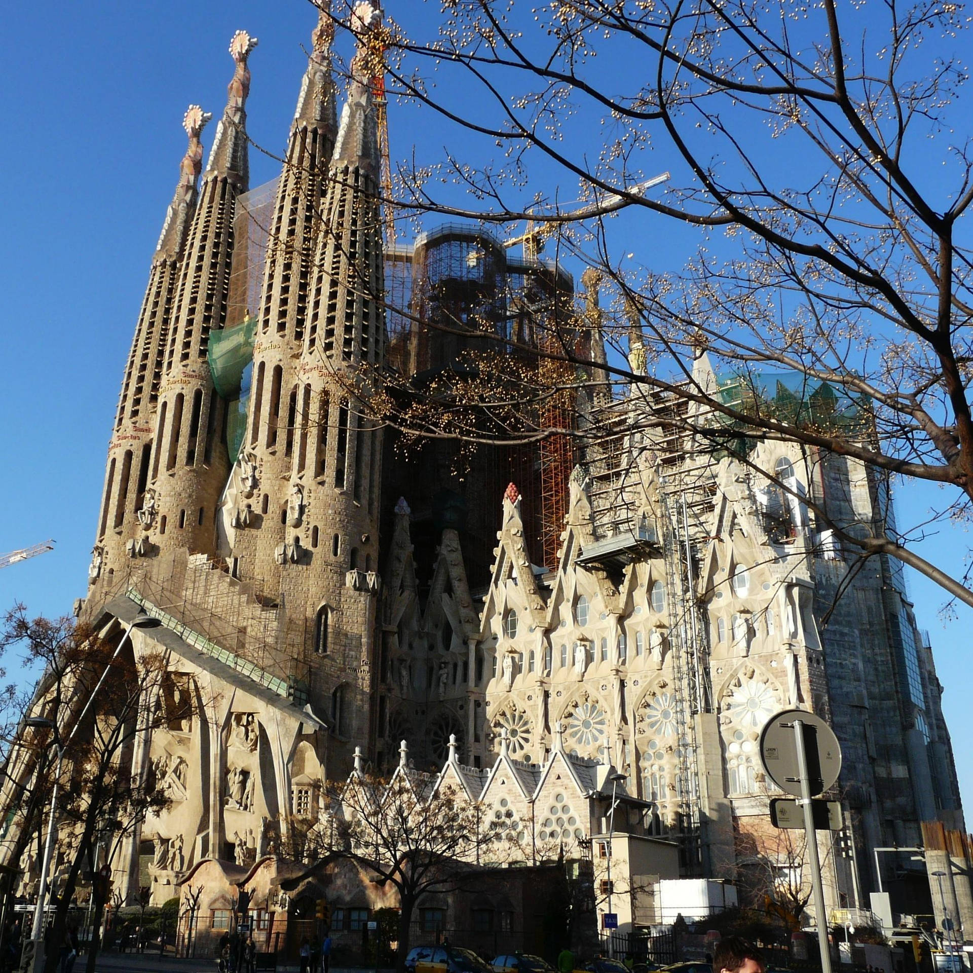 Sagrada Familia Angled View Background