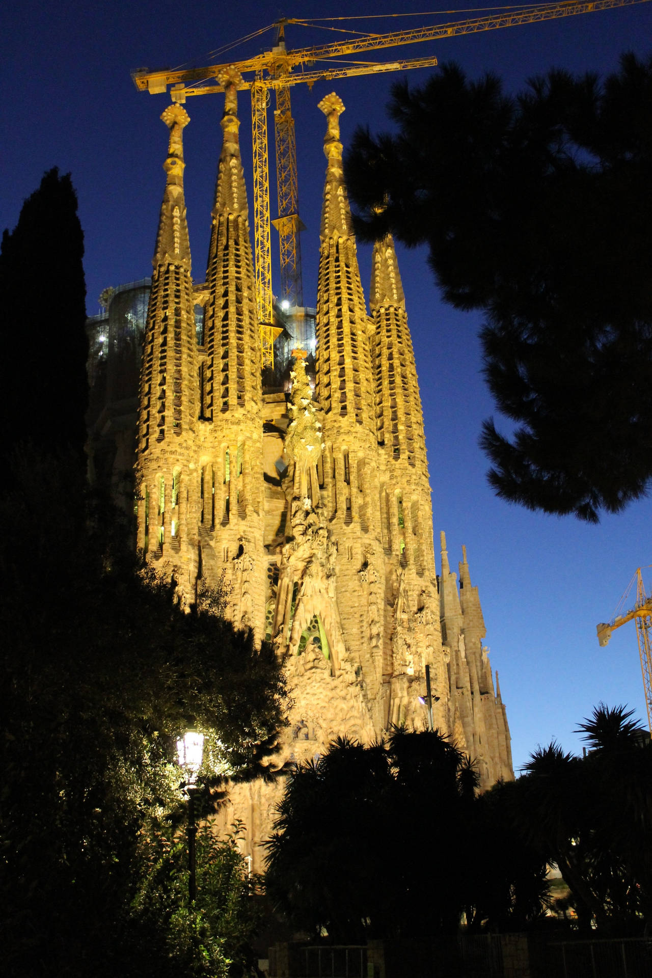 Sagrada Familia Night Blocked Trees