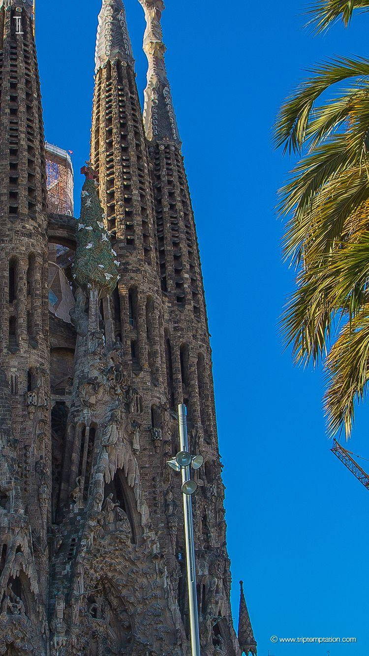 Sagrada Familia Phone With Tree