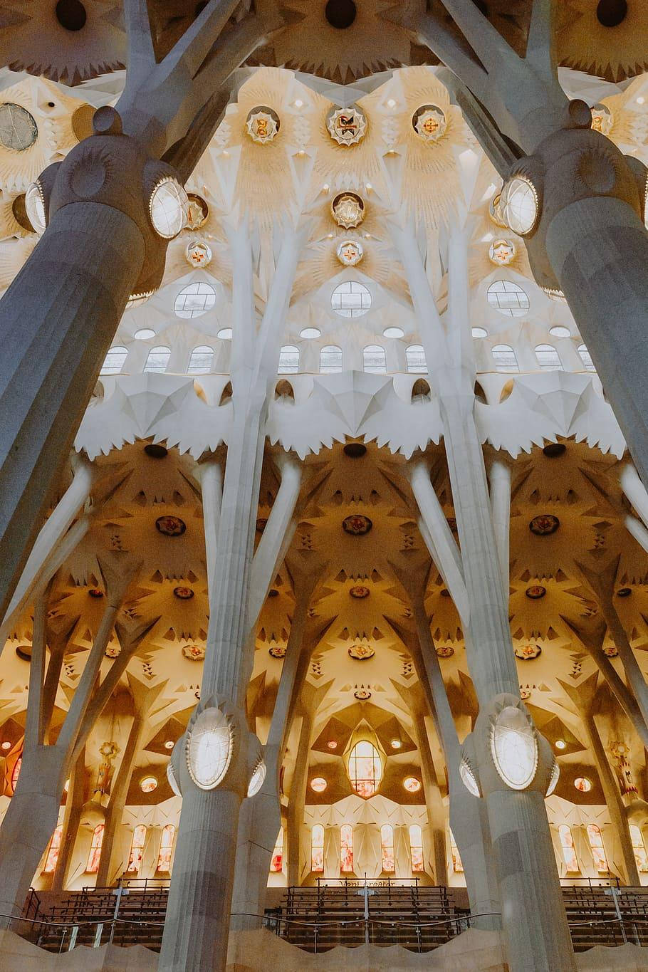 Sagrada Familia White Ceiling