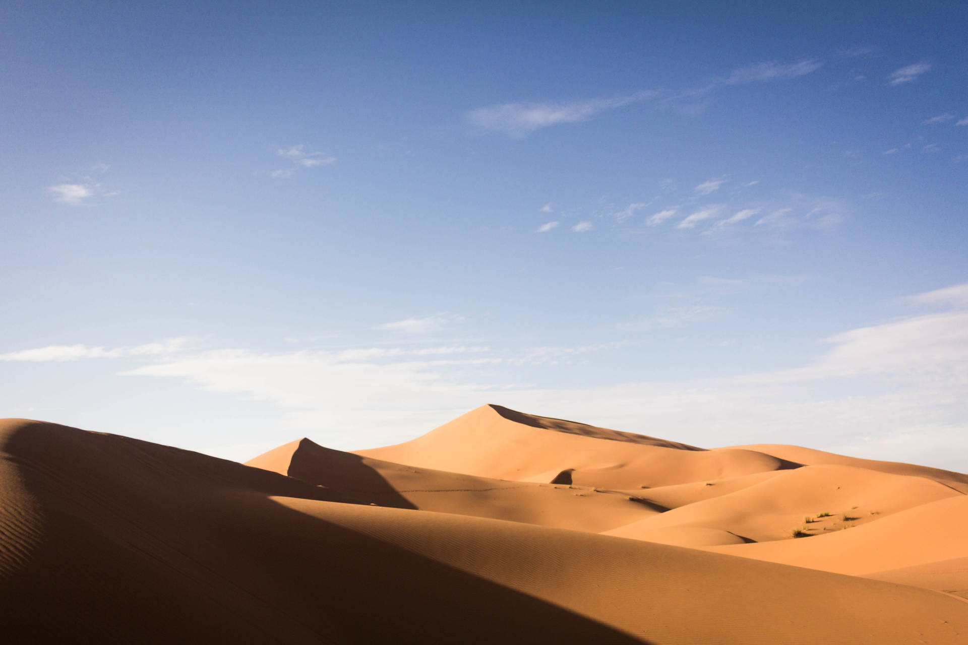 Sahara Brown Sand Field Background