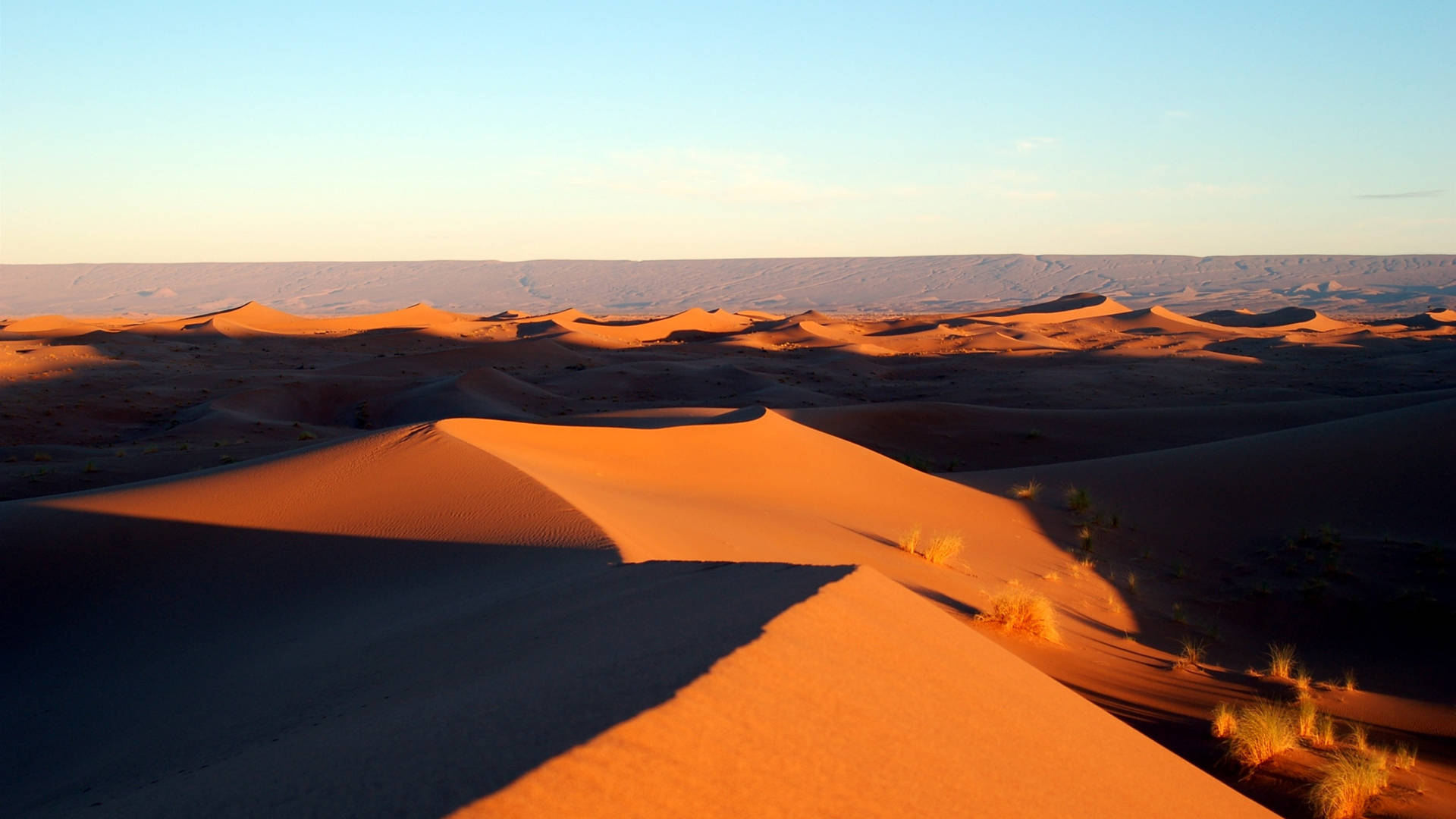 Sahara Desert Africa 4k