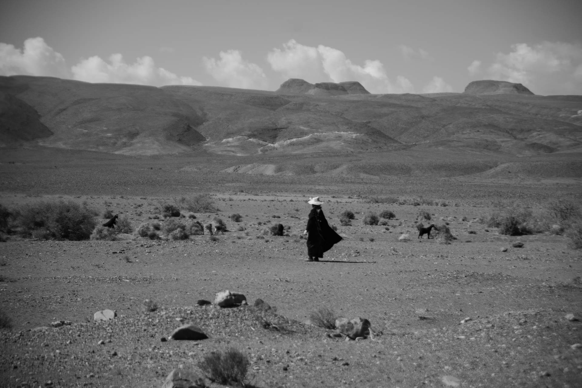 Sahara Desert Black And White