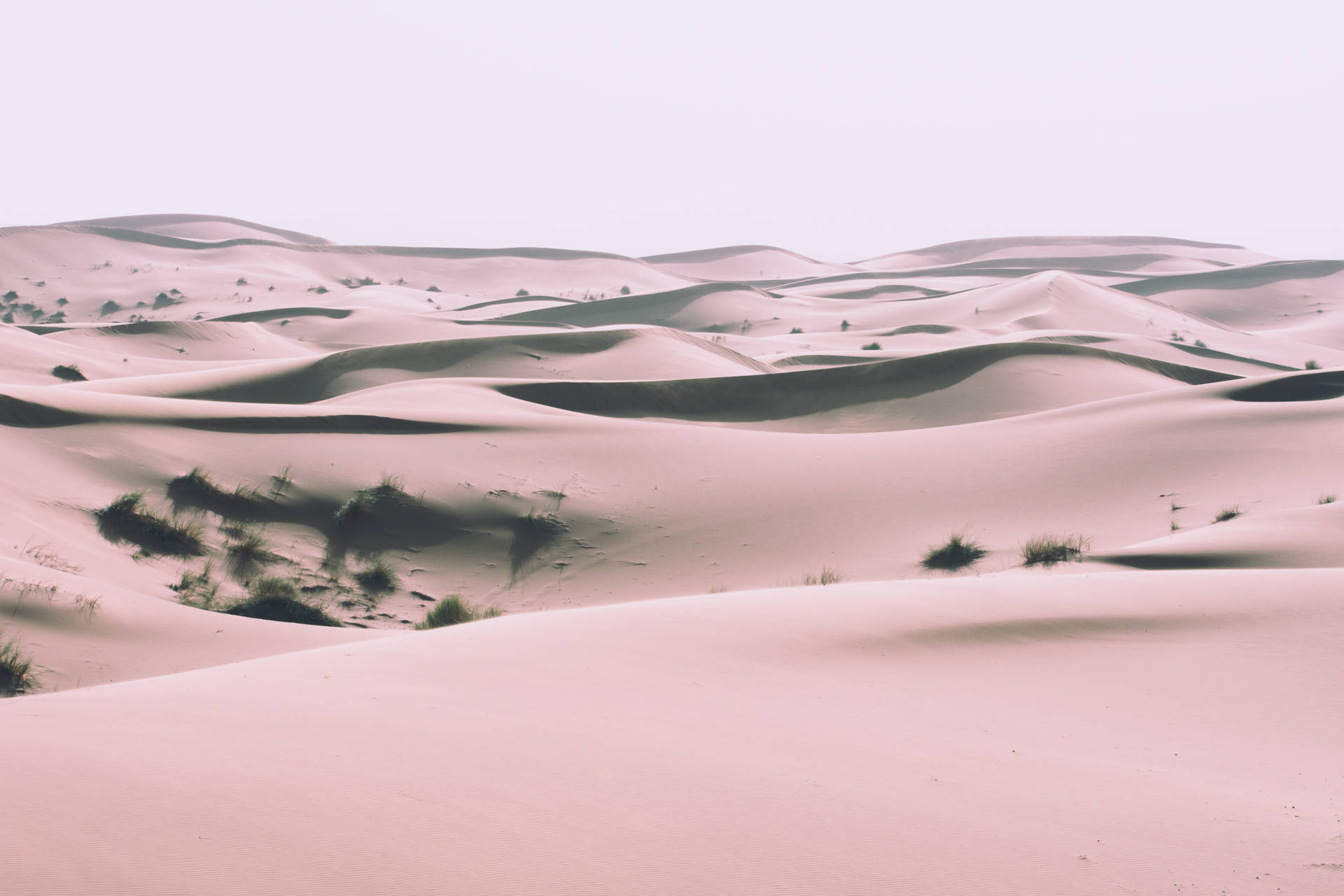 Sahara Desert Land Form Background