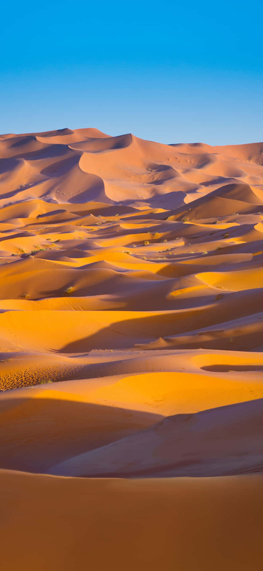 Sahara Desert Sand Dunes Background