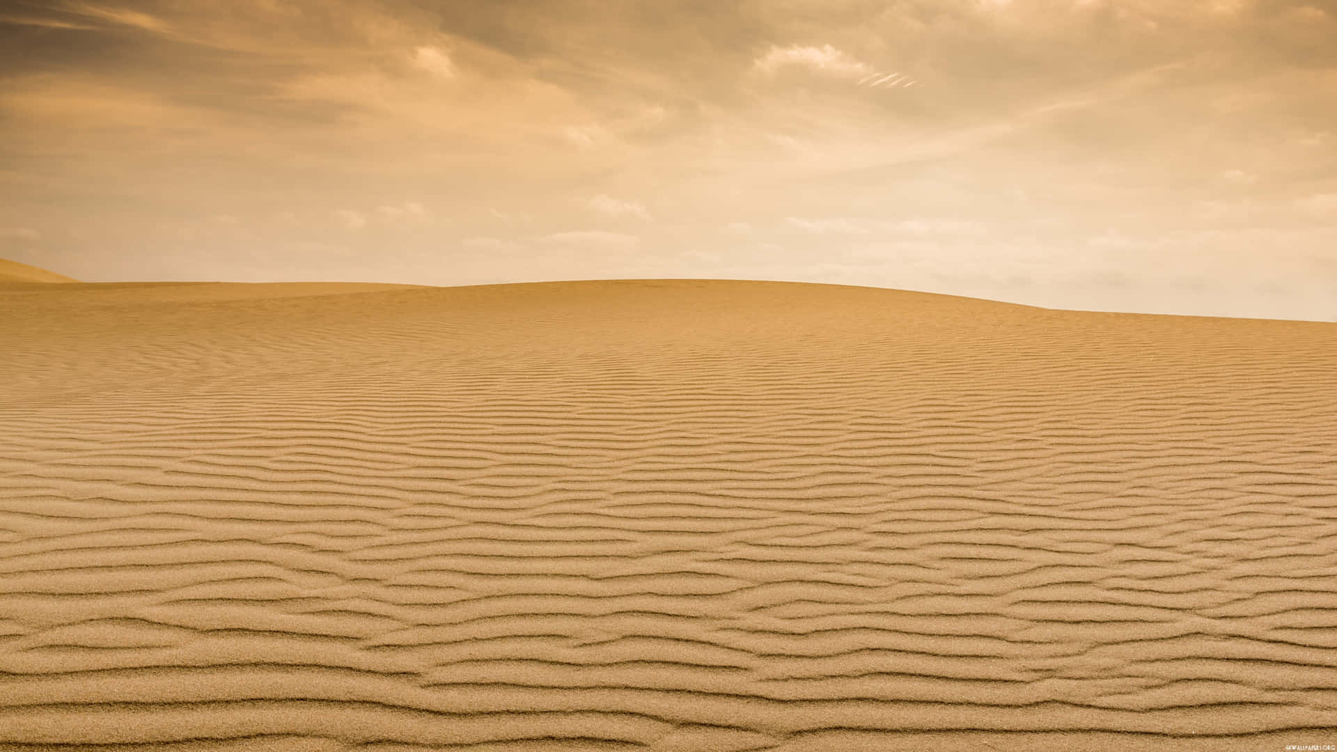 Sahara Desert Sand Horizon Background