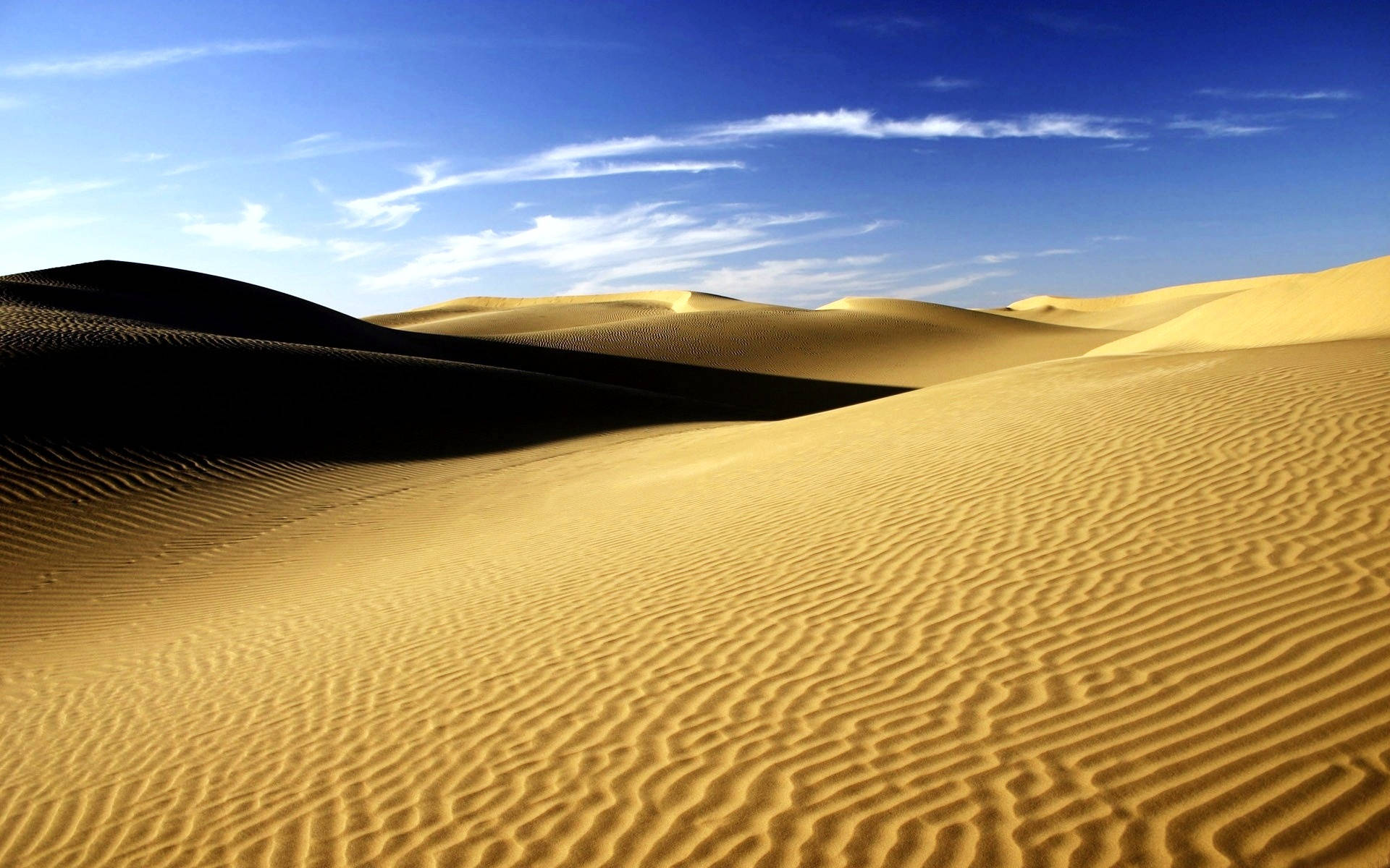 Sahara Desert Sand Ripples Background