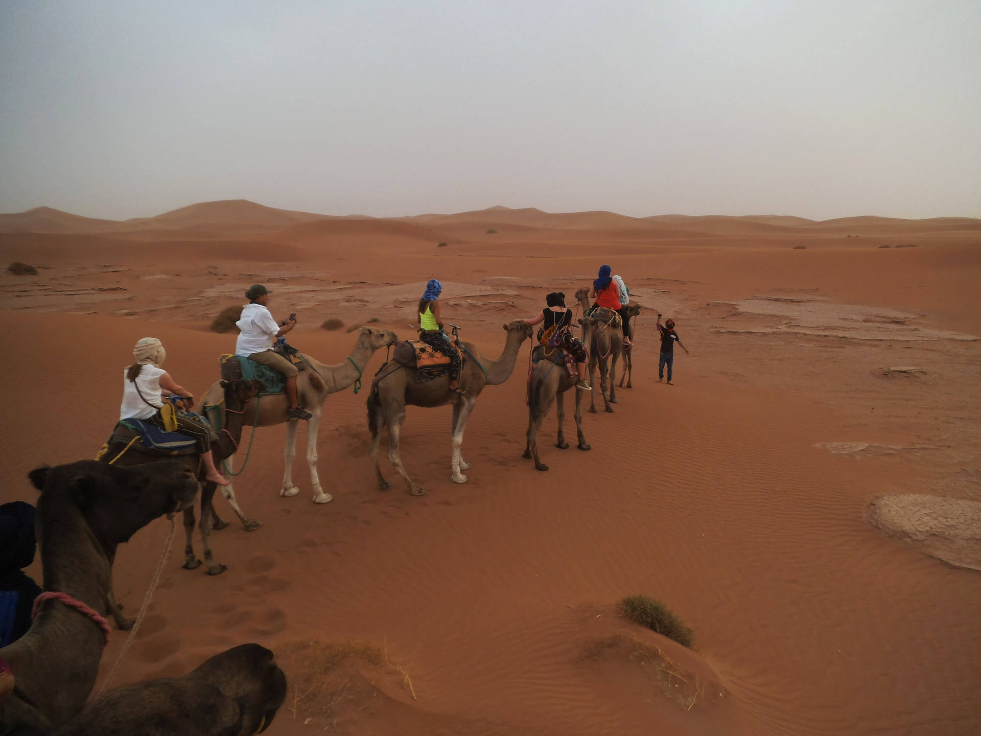 Sahara Desert Trip Background