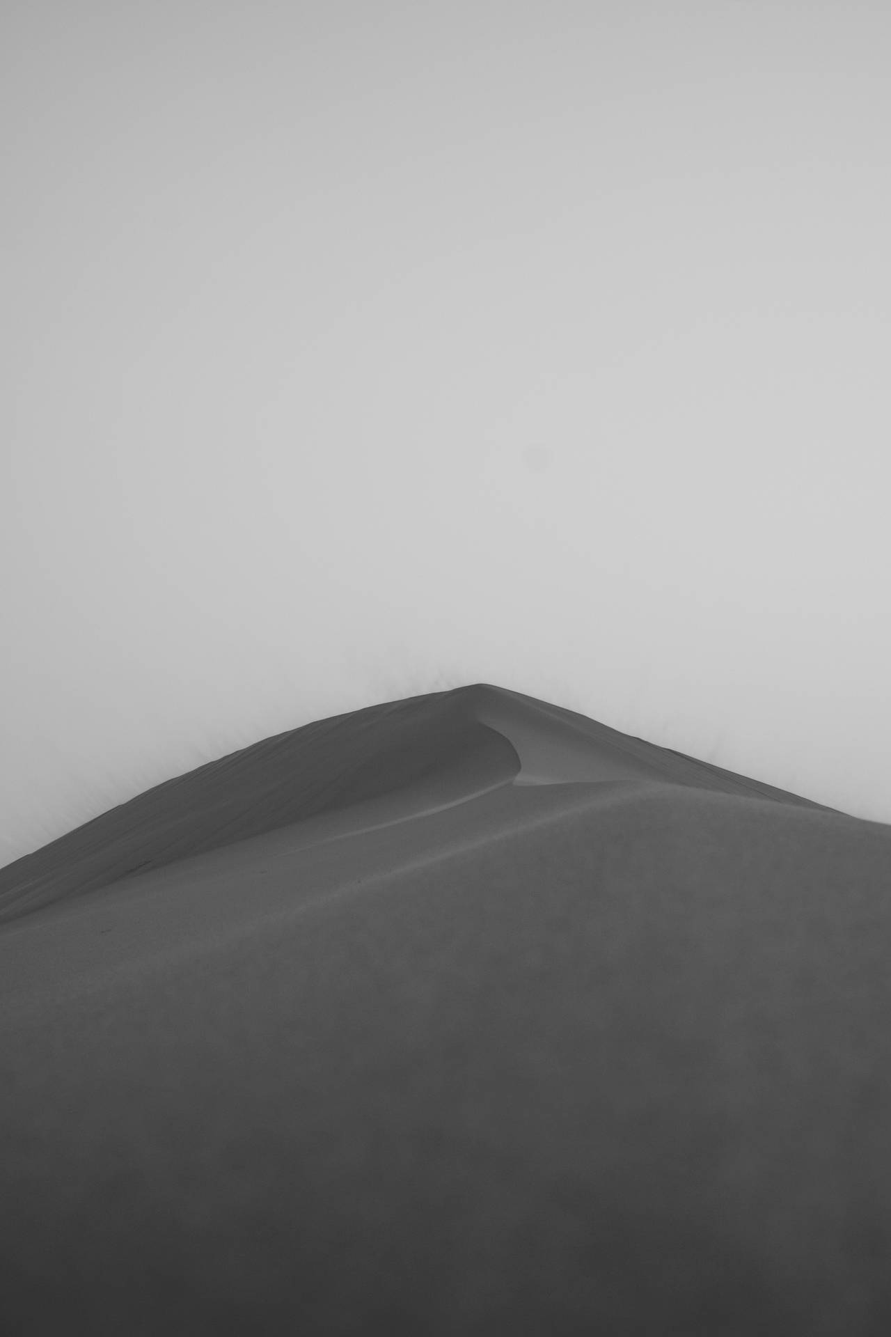 Sahara Landscape In Monochrome