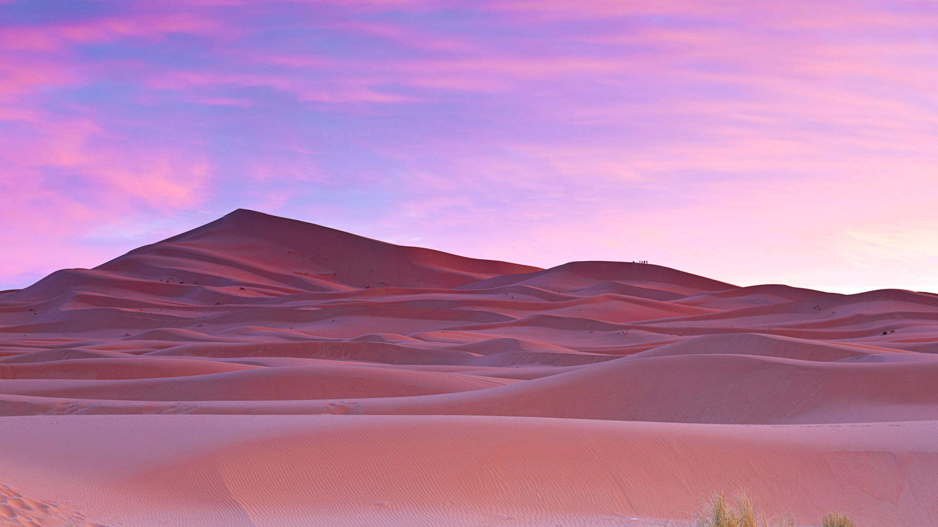 Sahara Pink Desert Morocco