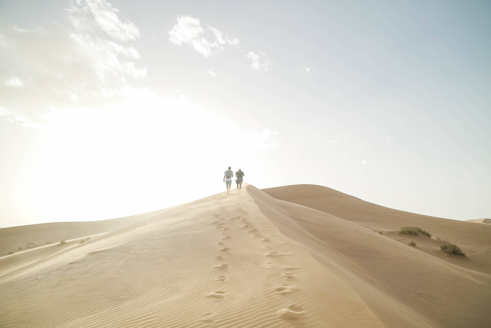 Sahara Sand Dunes Adventure Background
