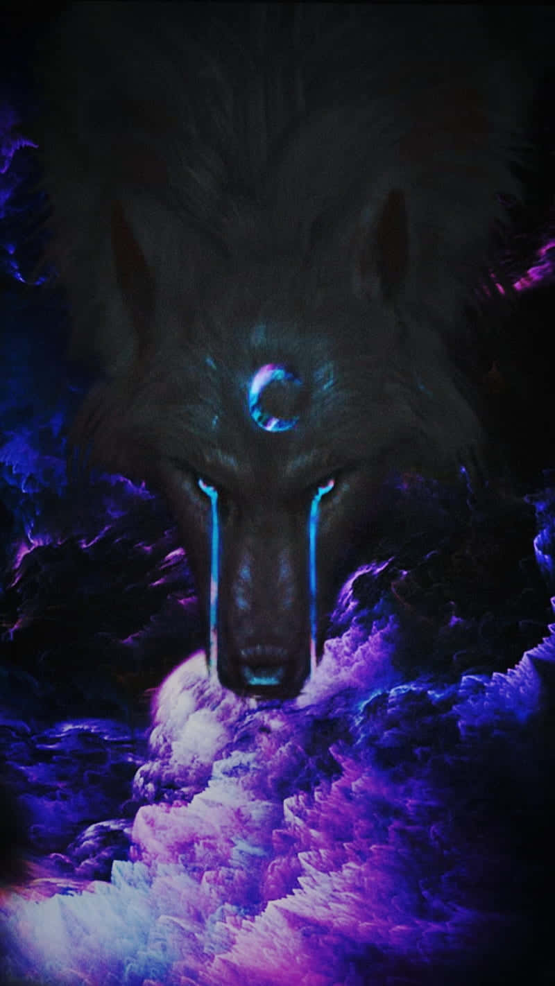Sail Across The Stars, Explore The Cool Animal Galaxy! Background