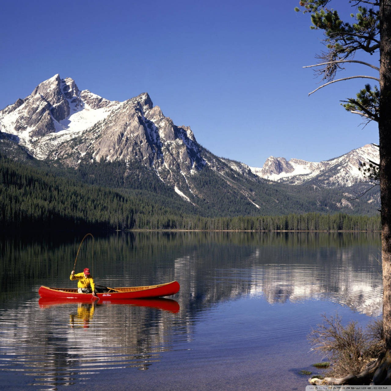 Sailboat In Idaho's Lake Background