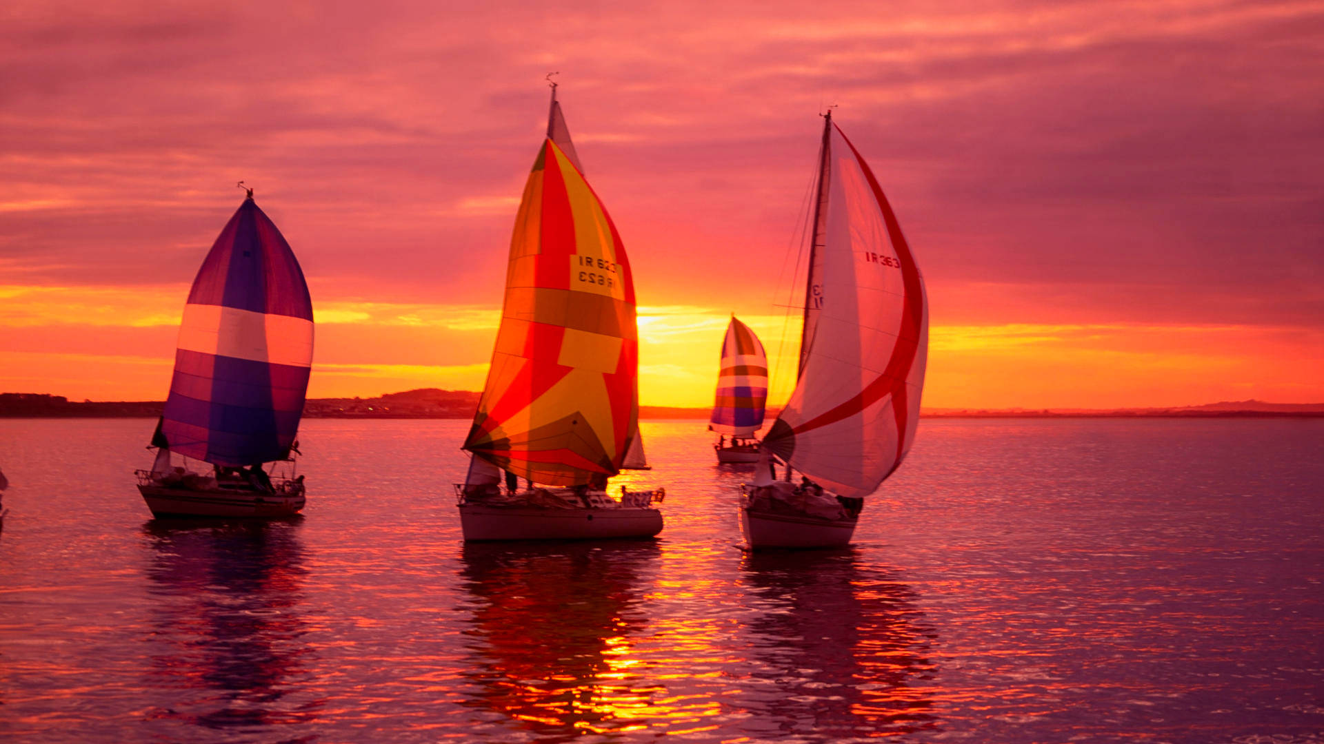 Sailing Sailboats With Colorful Sails Background