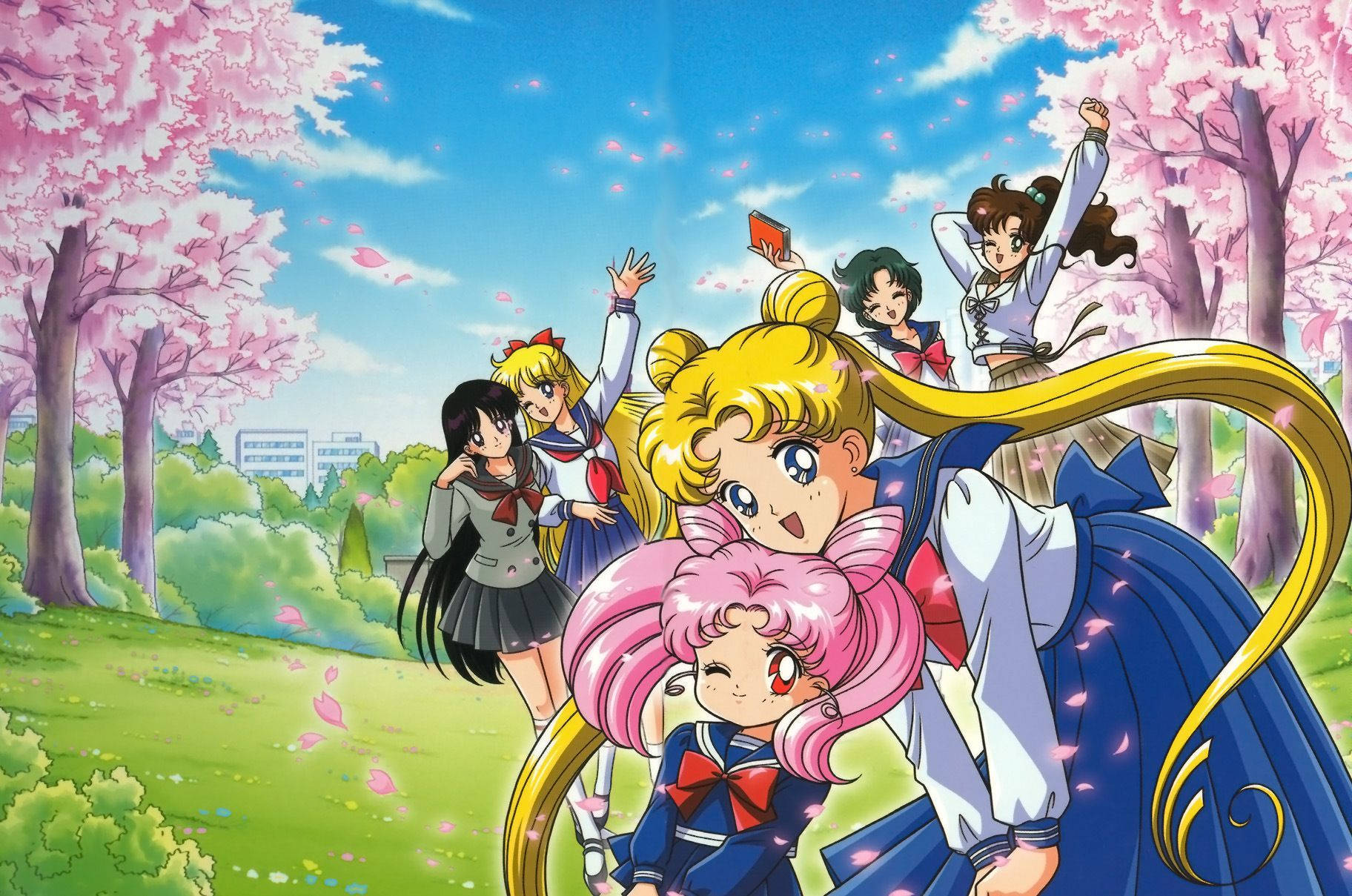 Sailor Moon With Cherry Blossoms