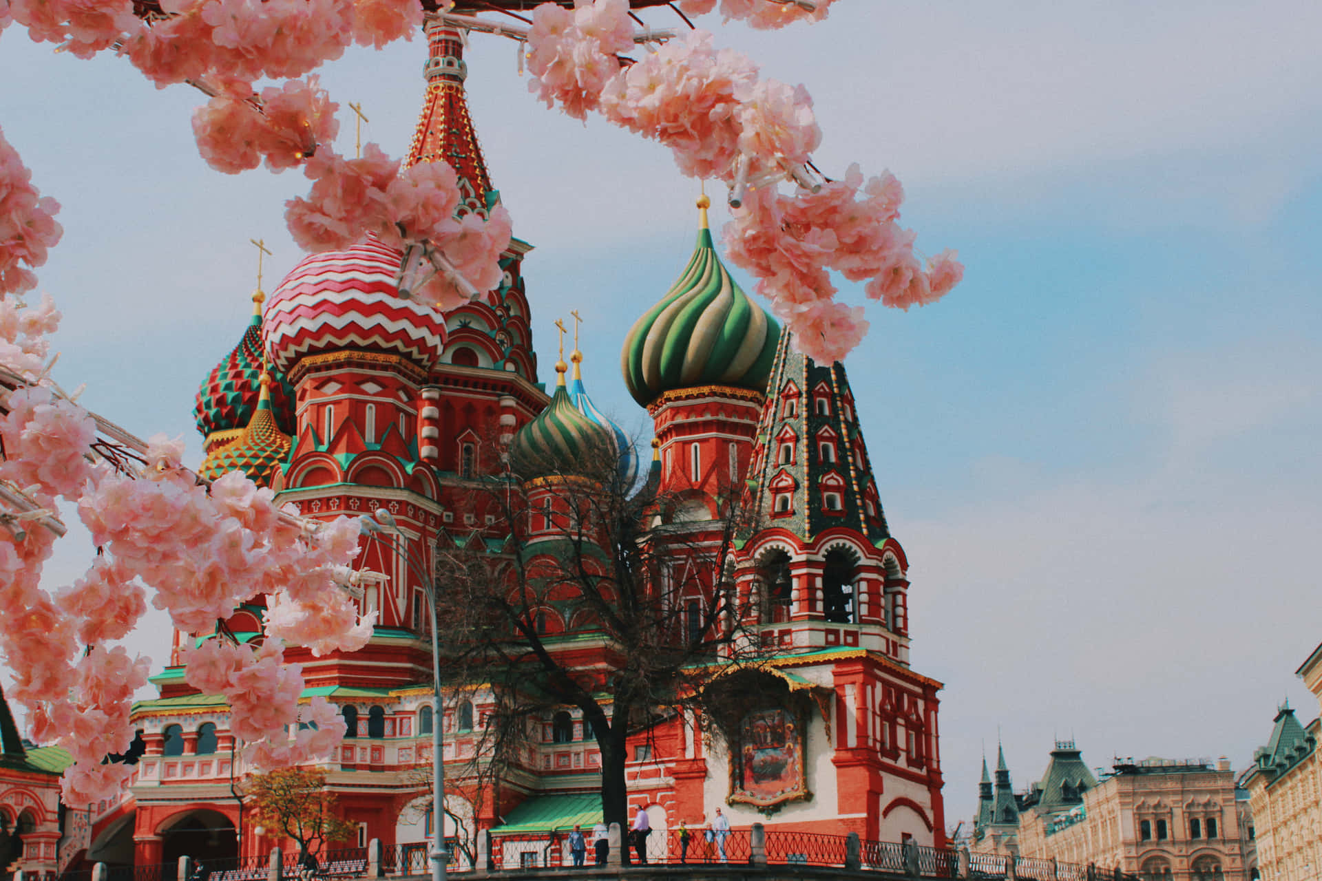 Saint Basils Cathedral With Cherry Blossoms Background