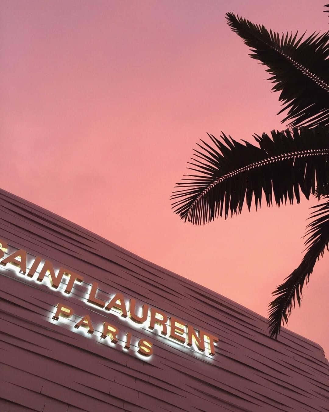 Saint Laurent Paris - A Pink Sky And Palm Trees Background