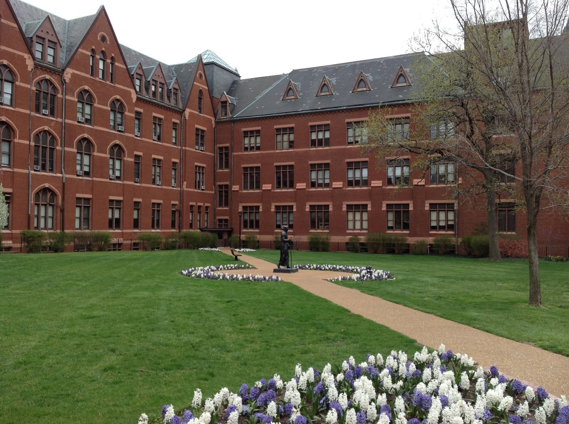 Saint Louis University Campus Landscape Background