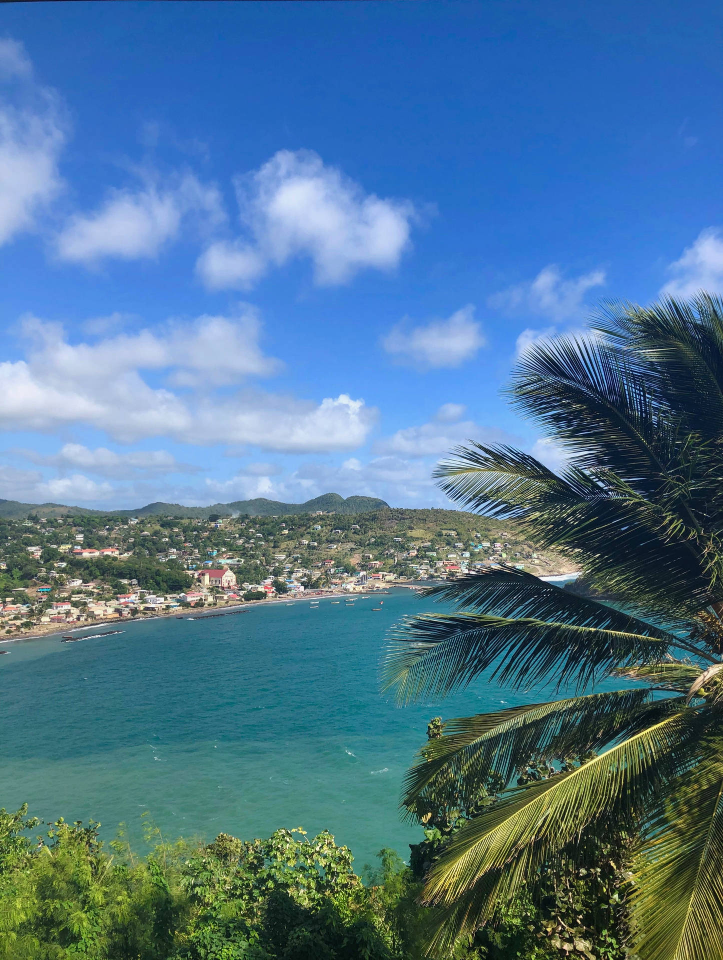 Saint Lucia Breathtaking Rodney Bay Background