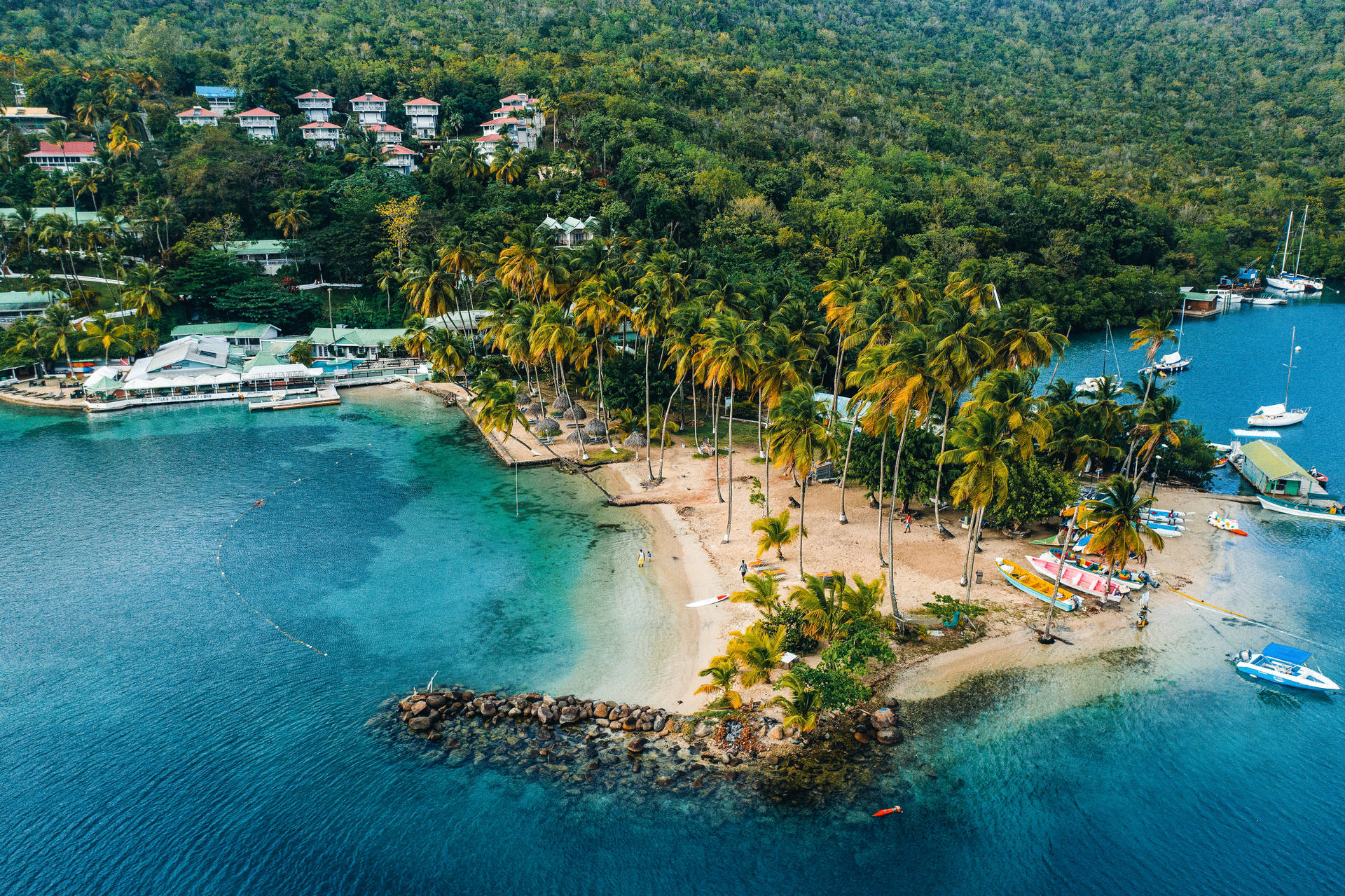 Saint Lucia Island In Marigot Bay Background