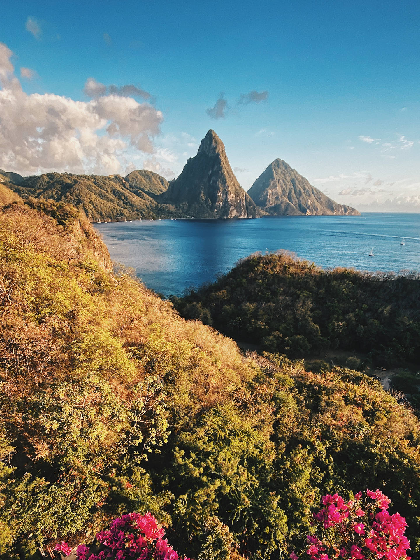 Saint Lucia Piton Mountains Background